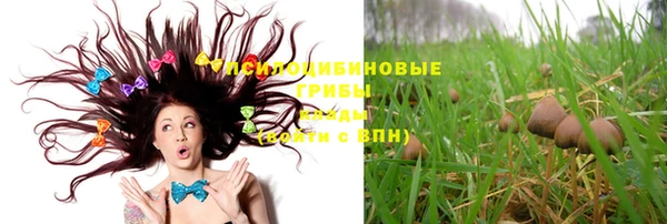 соль курить ск Алексеевка