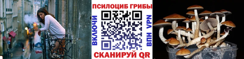 Псилоцибиновые грибы Psilocybine cubensis  omg маркетплейс  Анжеро-Судженск 