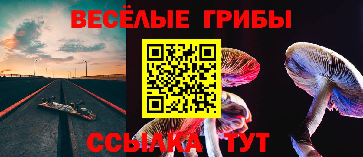 Псилоцибиновые грибы Psilocybine cubensis Анжеро-Судженск